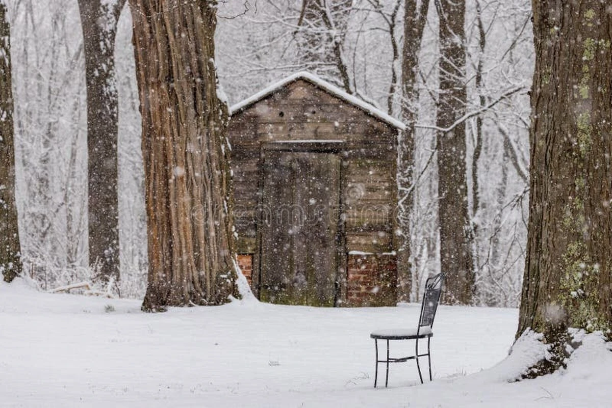De pallet van 500 euro: waarom slimme stookplanners nu toch in de kou staan - image 1