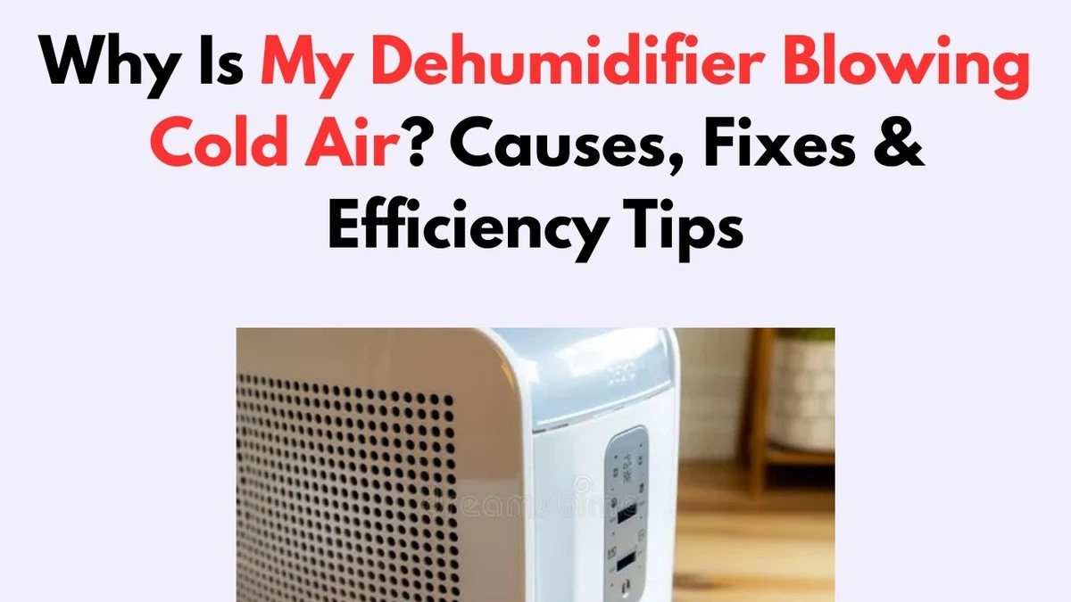 De reden waarom je luchtontvochtiger koude lucht blaast (en wanneer dat een probleem is) - image 1