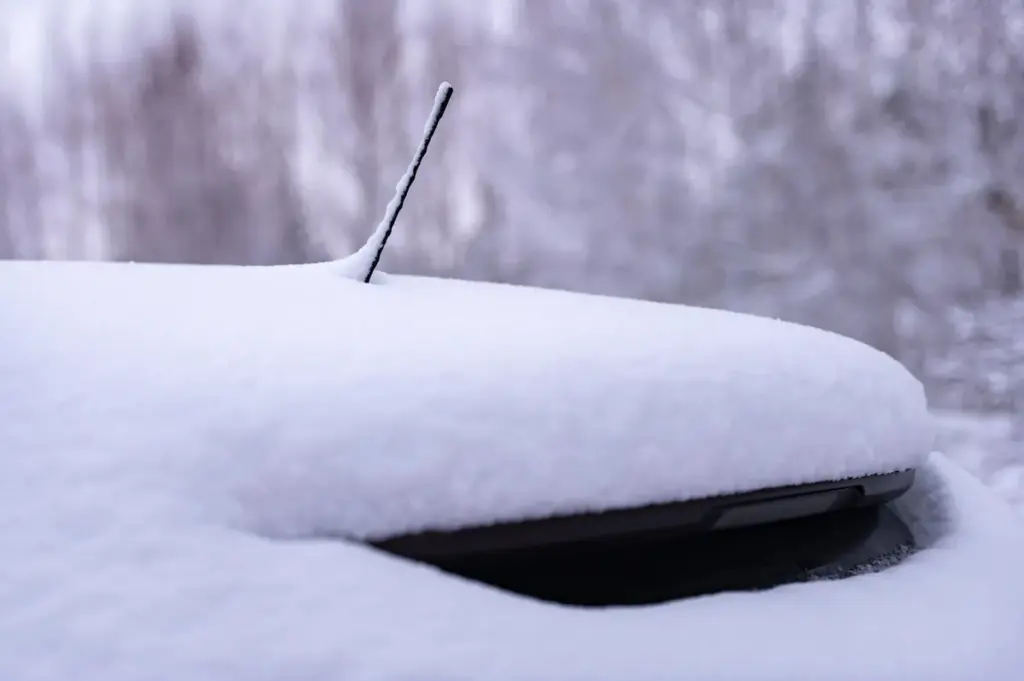 De zwarte haaienvin op je autodak: 3 vitale functies die je nooit zag
