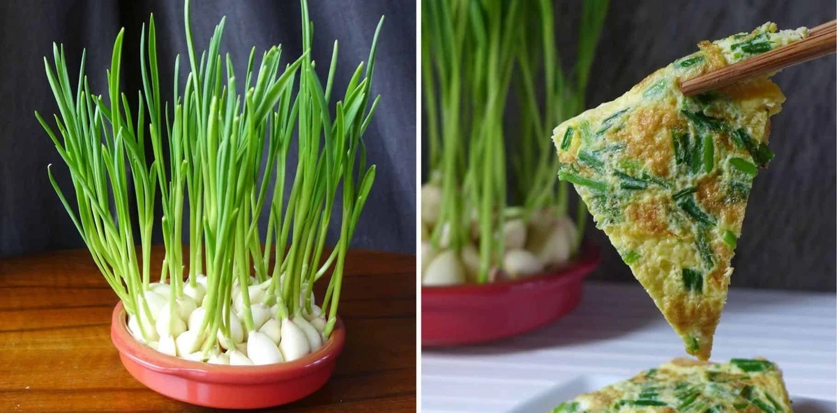 Gooi deze groene knoflook niet weg: 5 verrassende feiten - image 1