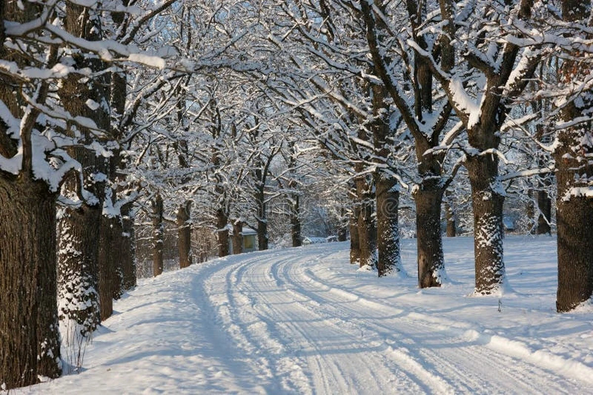 Waarom de winterjas nog niet naar zolder mag na 22 februari - image 1