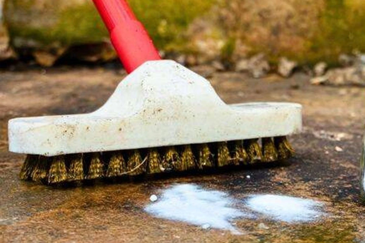 Waarom ervaren hoveniers zuiveringszout in de voegen van het terras strooien - image 1