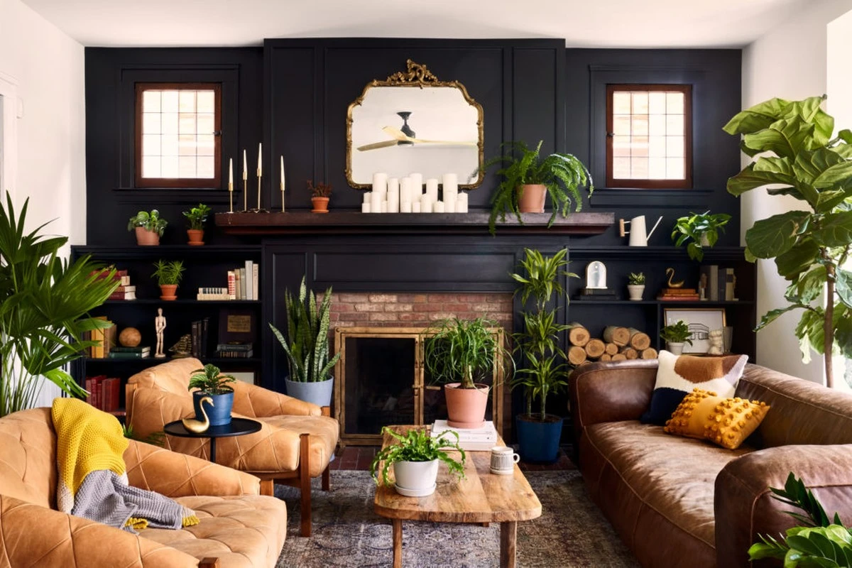 Waarom ervaren plantenliefhebbers hun donkere hoekjes nu massaal vullen met deze 7 planten - image 1