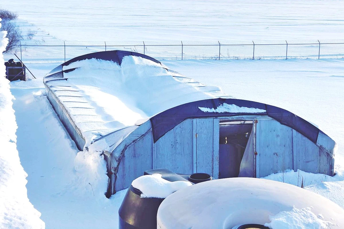 Waarom ervaren tuiniers deze week massaal hun kas controleren - image 1