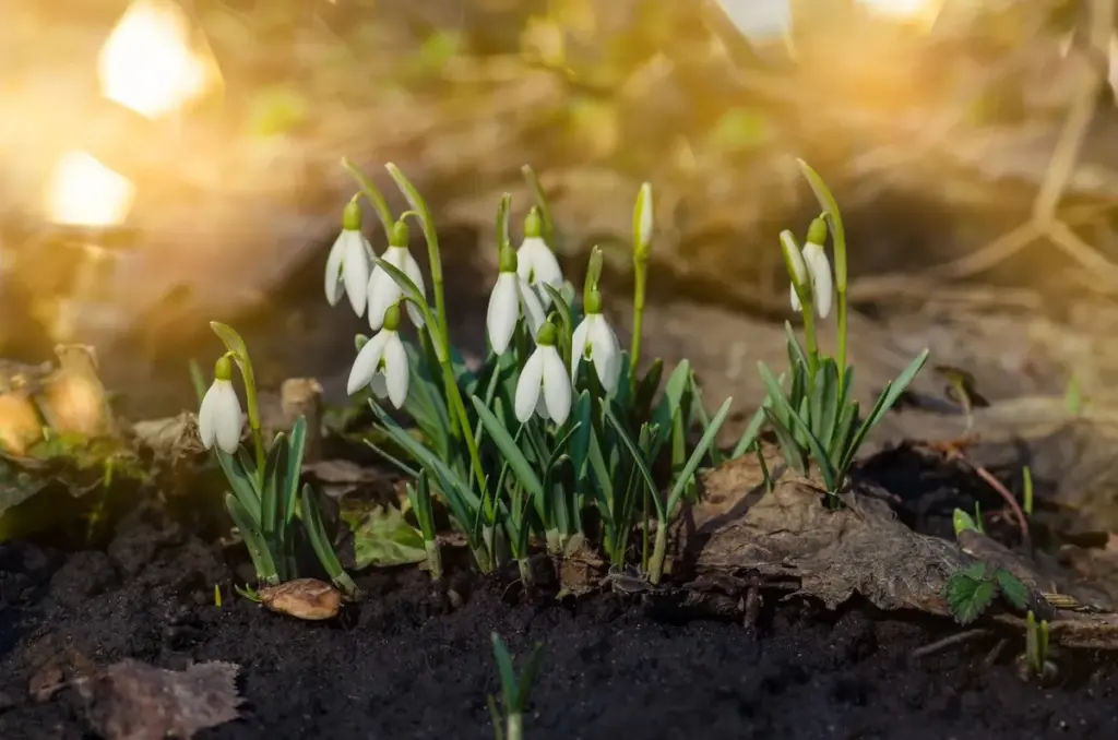 Waarom je die winterjas voorlopig nog niet naar de zolder moet brengen