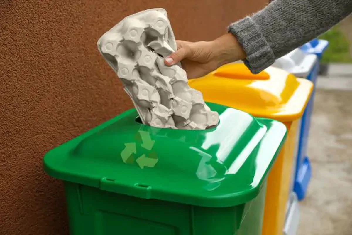 Waarom je eierdoos waarschijnlijk in de verkeerde afvalbak belandt - image 1