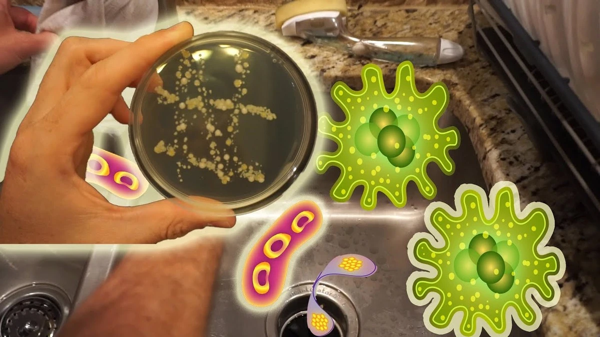 Waarom je vaat nooit echt schoon wordt als je het in de gootsteen wast - image 1