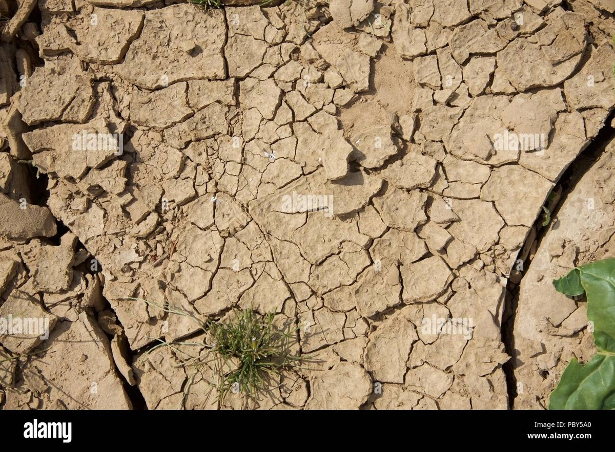 Waarom meteorologen nu al waarschuwen voor de zomer van 2027 - image 1