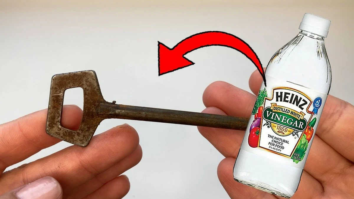 Waarom steeds meer Nederlanders een scheutje azijn over hun sleutels spuiten - image 1