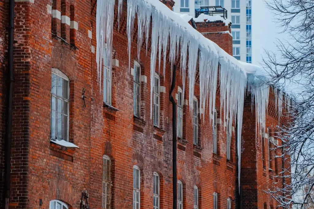 De gevaarlijke maart-val: waarom de vroege lente verraderlijker is dan de winter