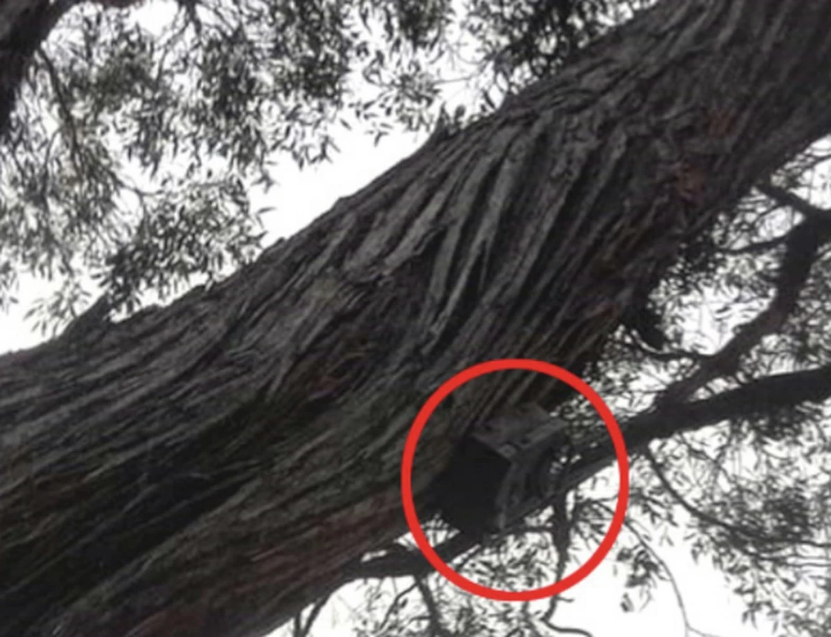 Waarom Amerikaanse verkeerskegels en elektriciteitsmeters je overal in de gaten houden - image 1