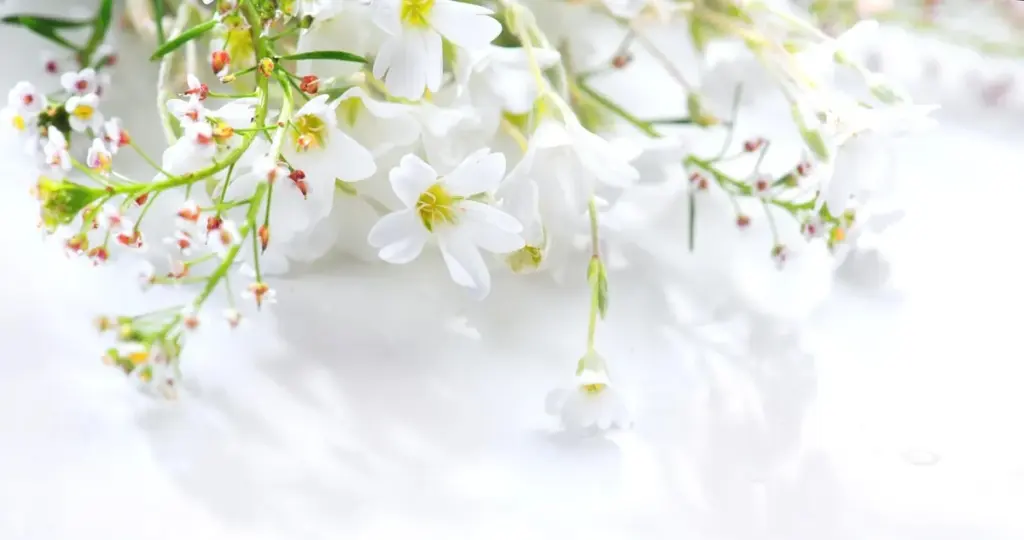 Waarom boeren op 19 maart altijd naar de lucht kijken