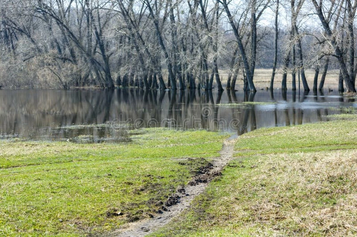Waarom de vrieskou in Nederland nog even blijft hangen ondanks de felle zon - image 1