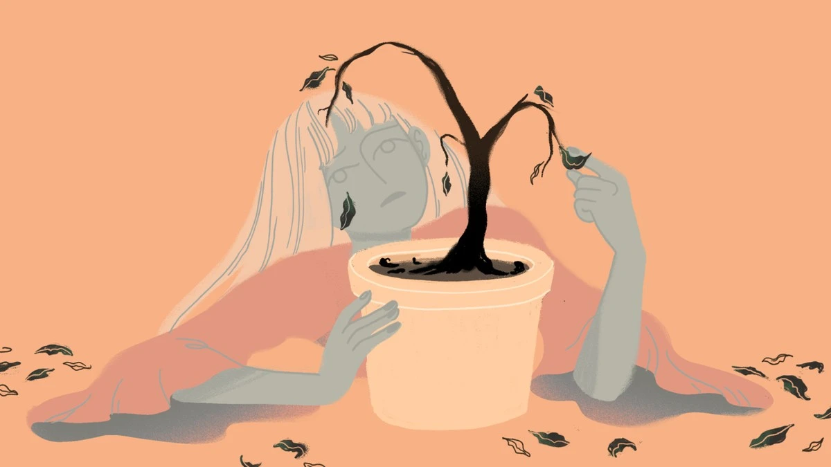 Waarom die mooie kamerplant in jouw woonkamer waarschijnlijk doodgaat - image 1