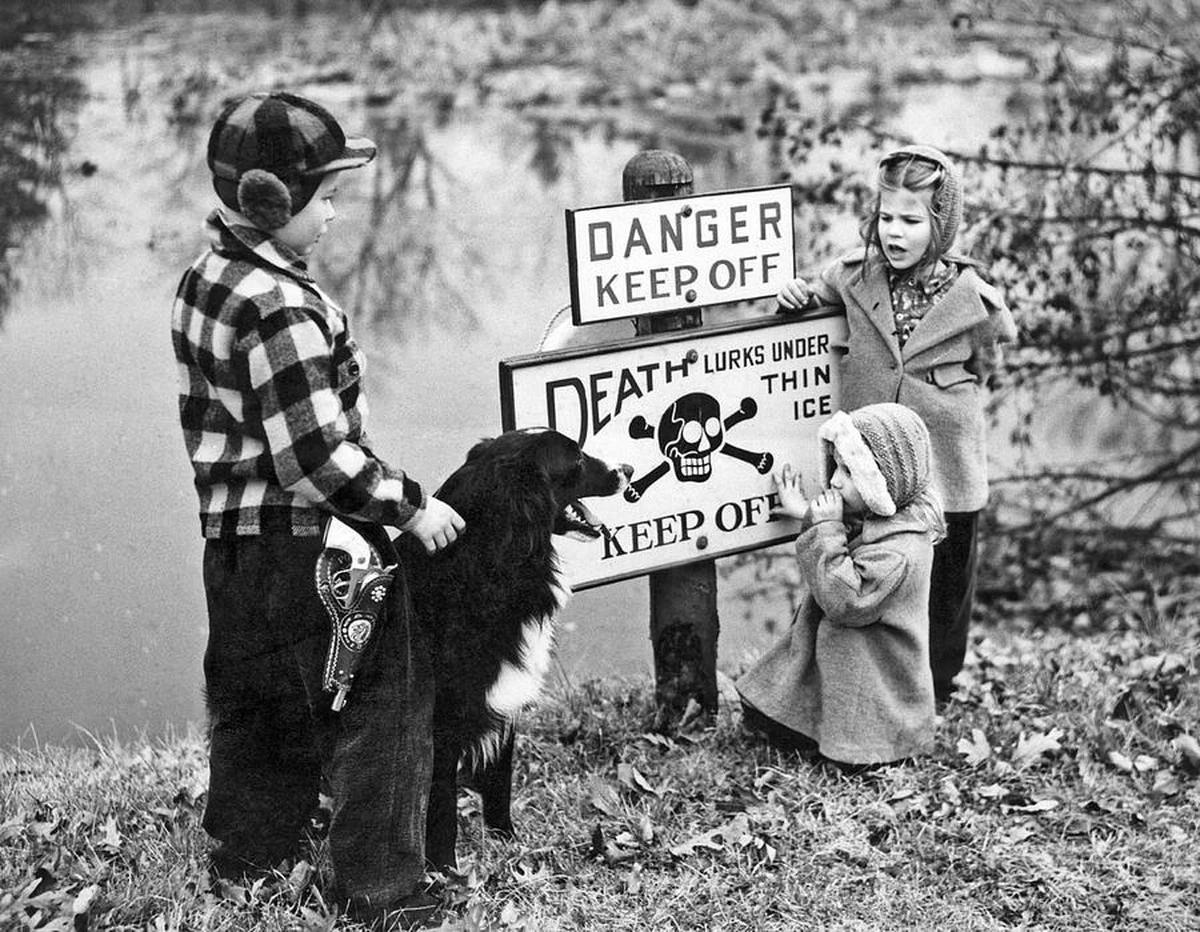 Waarom ervaren hondeneigenaren dit voorjaar meer stress bij de waterkant - image 1