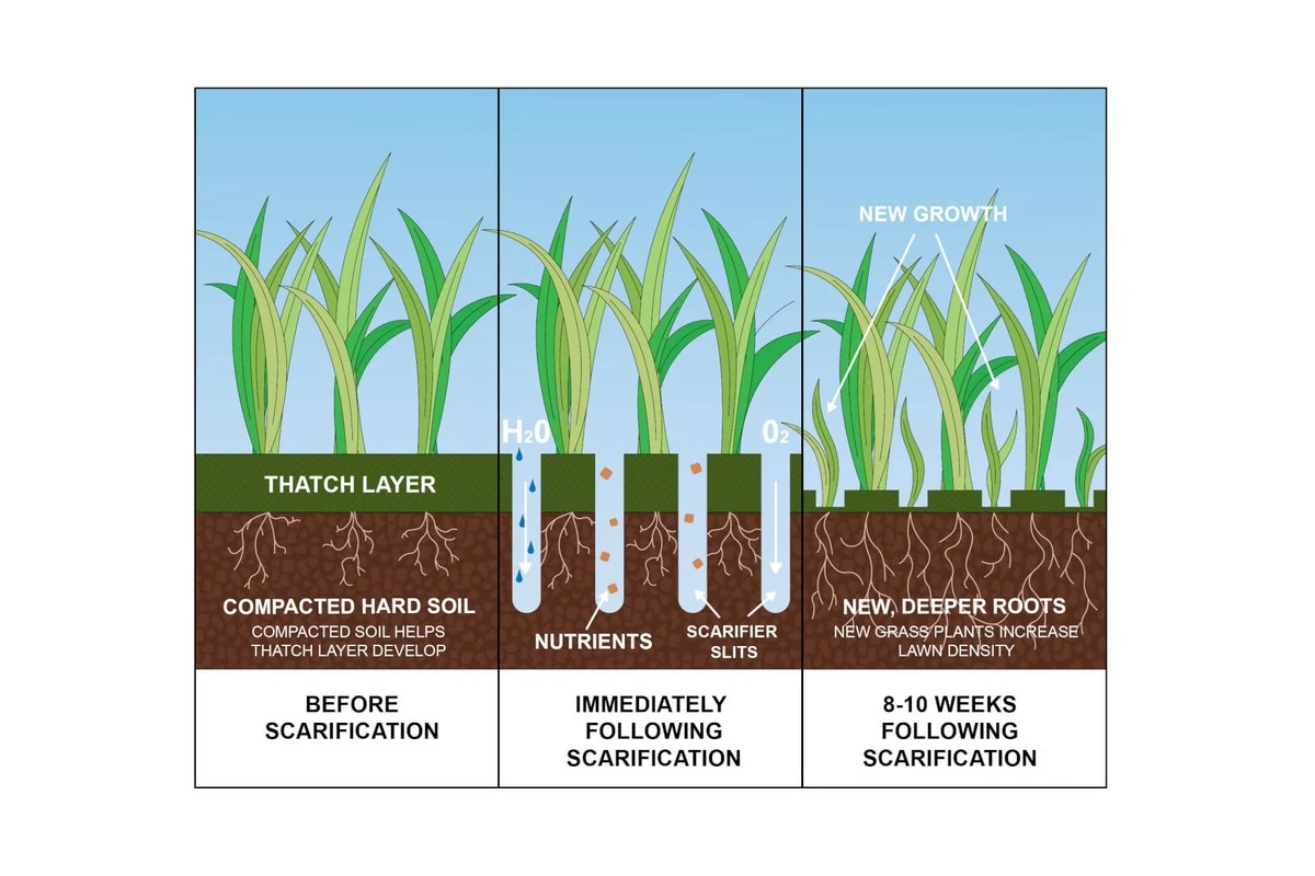Waarom ervaren tuiniers in het voorjaar hun gazon
