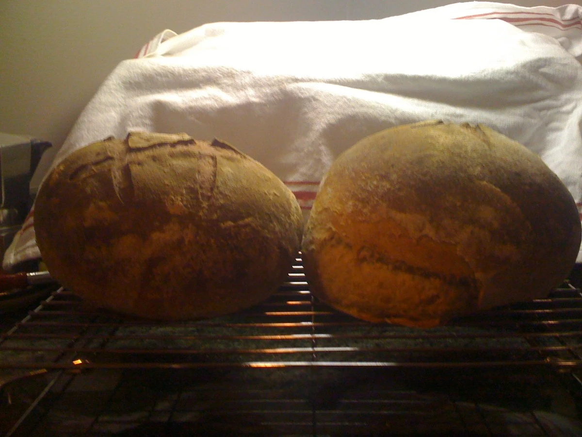 Waarom je deeg altijd scheurt in de oven (en de simpele truc om het te stoppen) - image 1