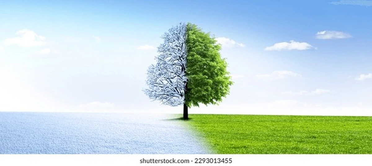 Waarom je winterjas na 12 maart toch weer tevoorschijn moet komen - image 1