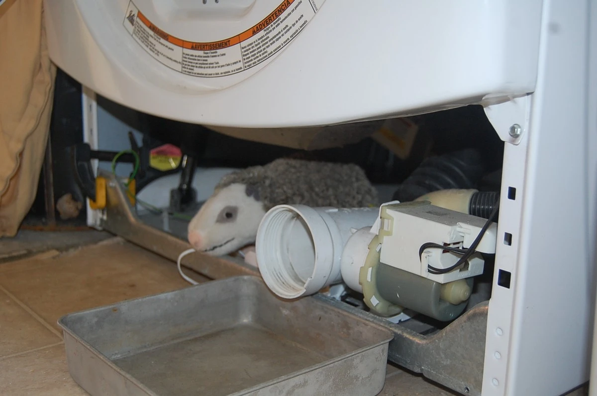 Waarom slimme huishoudens tegenwoordig een lepel baking soda in de wasmachine doen - image 1