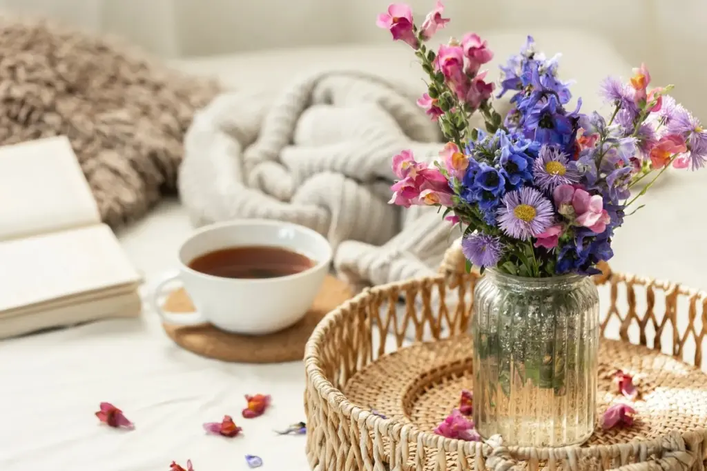 Waarom sommige kamerplanten vaker in een koppelwoning staan dan je denkt