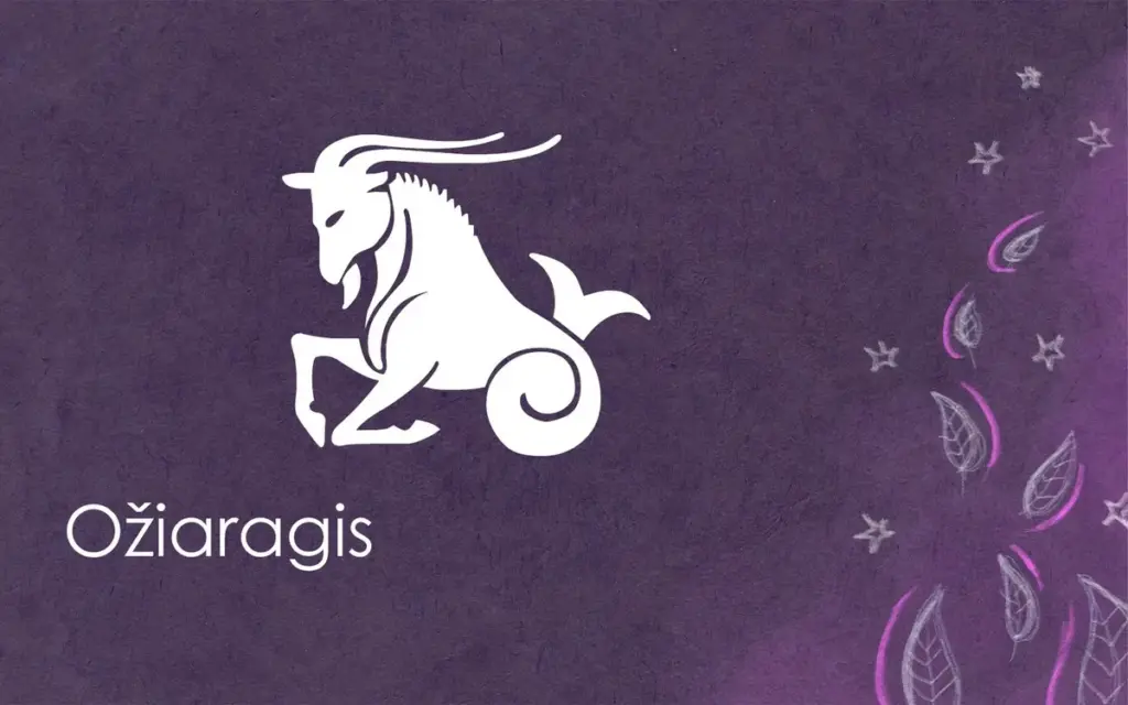 Waarom Steenbokken juist nu ruimte moeten maken voor die ene onverwachte kans