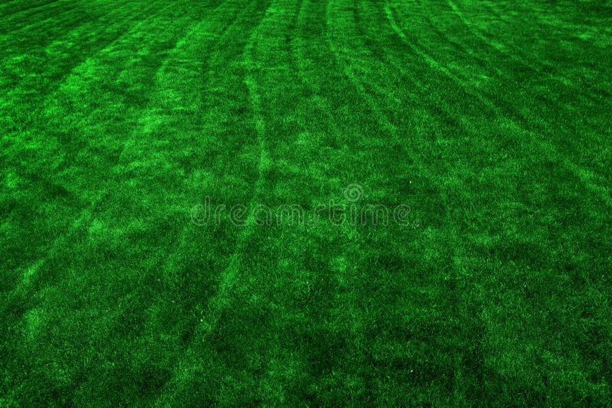 Waarom veel Nederlanders dit voorjaar een vork in hun gazon steken - image 1